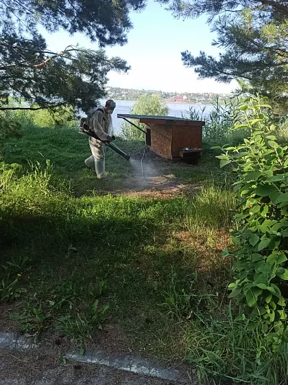 Элемент6