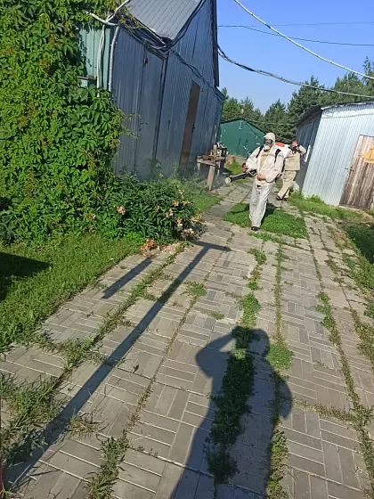 Элемент4
